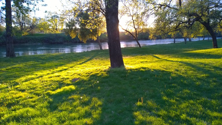 WP_20160329_19_15_15_Pro[1]