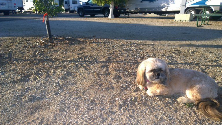 WP_20160330_18_15_26_Pro[1]