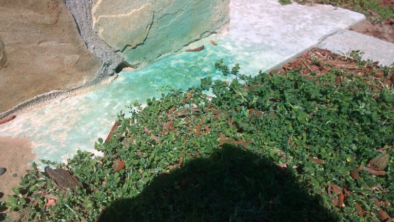 WP_20160402_12_26_29_Pro__highres