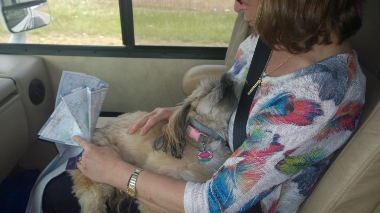 WP_20160504_14_17_17_Pro