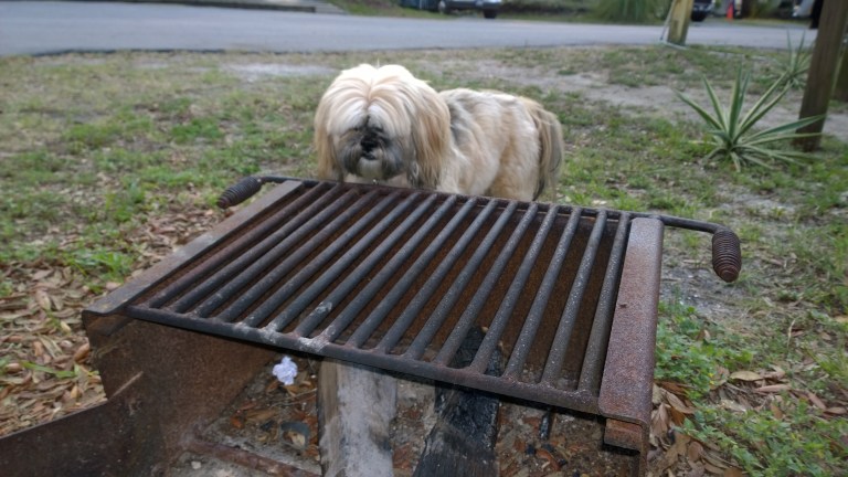 WP_20160603_19_30_50_Pro